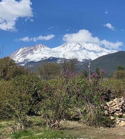 Angel Cottage With A Sauna Or The Cozy With A Jacuzzi Tub, Both Are Studios With A View Of マウント・シャスタ エクステリア 写真