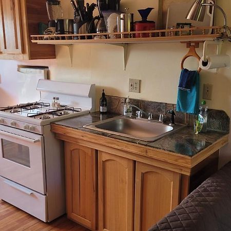 Angel Cottage With A Sauna Or The Cozy With A Jacuzzi Tub, Both Are Studios With A View Of マウント・シャスタ エクステリア 写真