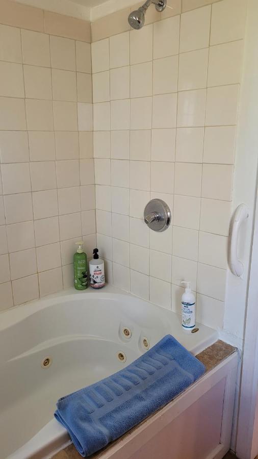 Angel Cottage With A Sauna Or The Cozy With A Jacuzzi Tub, Both Are Studios With A View Of マウント・シャスタ エクステリア 写真