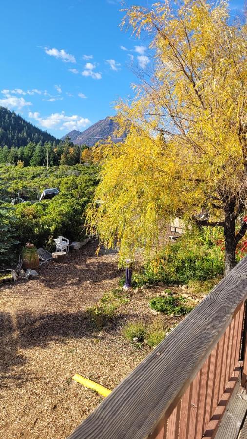 Angel Cottage With A Sauna Or The Cozy With A Jacuzzi Tub, Both Are Studios With A View Of マウント・シャスタ エクステリア 写真