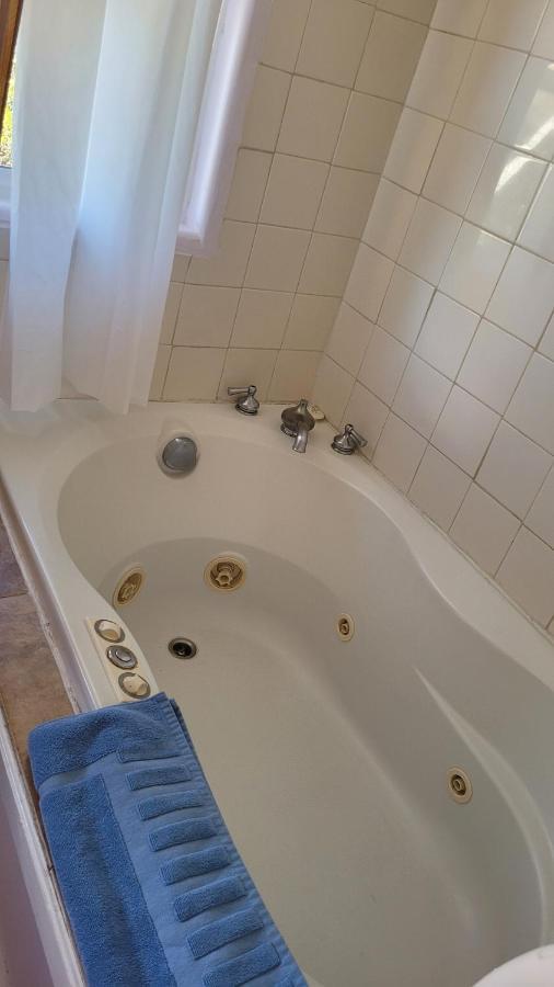 Angel Cottage With A Sauna Or The Cozy With A Jacuzzi Tub, Both Are Studios With A View Of マウント・シャスタ エクステリア 写真