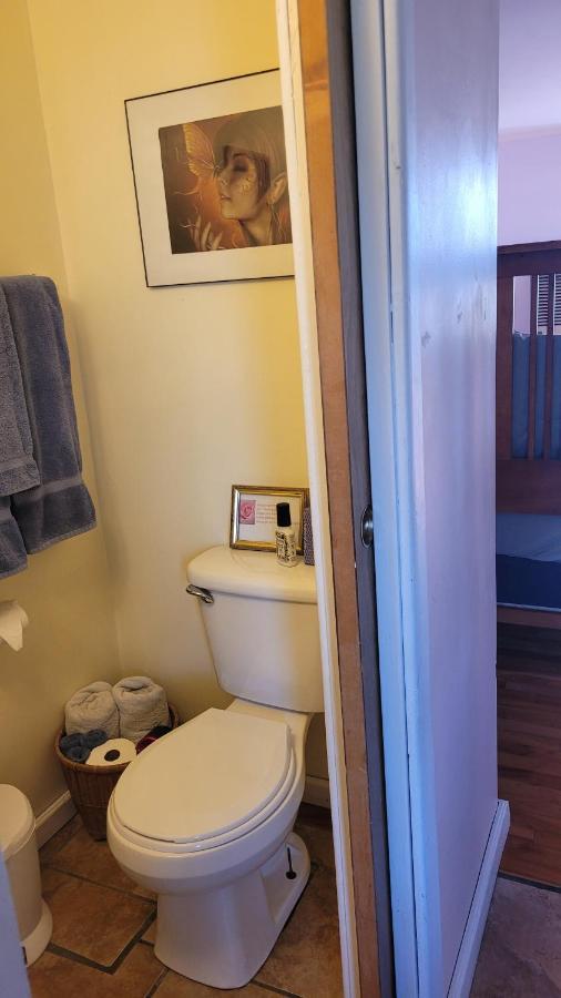 Angel Cottage With A Sauna Or The Cozy With A Jacuzzi Tub, Both Are Studios With A View Of マウント・シャスタ エクステリア 写真